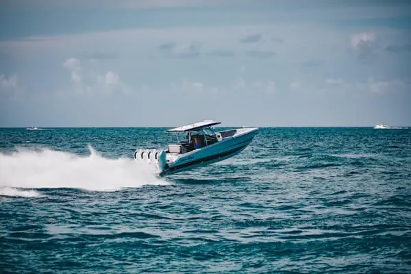 Marine Outboard Fuel Injectors