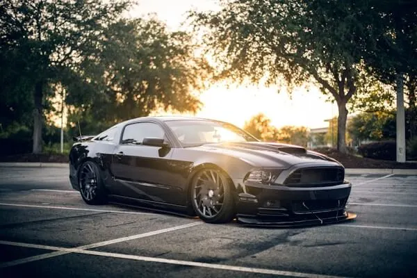 Ford Mustang Fuel Injectors